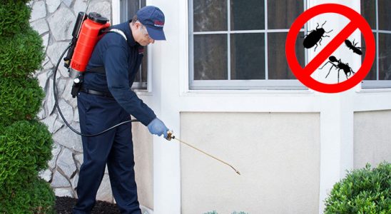 Tercan Böcek İlaçlama böcek ilaçlama ve haşere kontrolü — ilaclama-tr.com